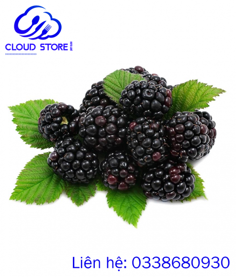 Mâm xôi đen